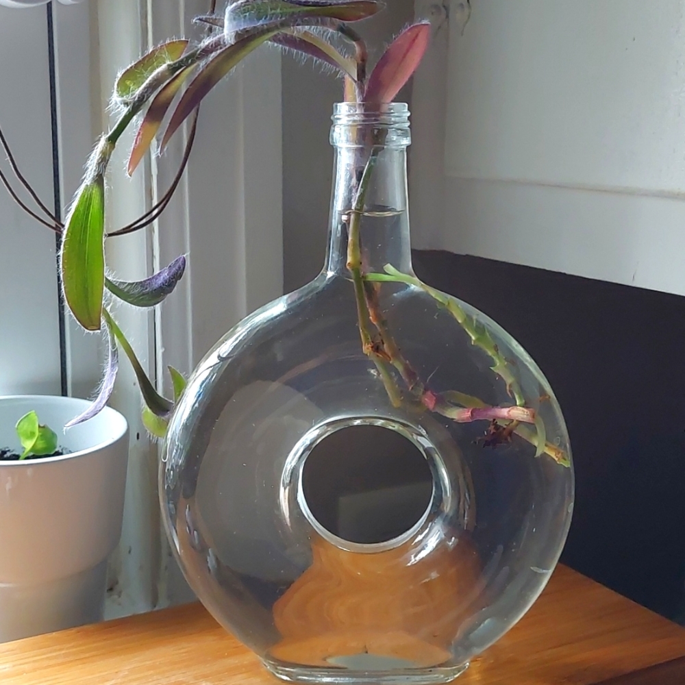 Unique 9" Vase
